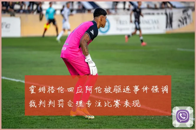 霍姆格伦回应阿伦被驱逐事件强调裁判判罚合理专注比赛表现