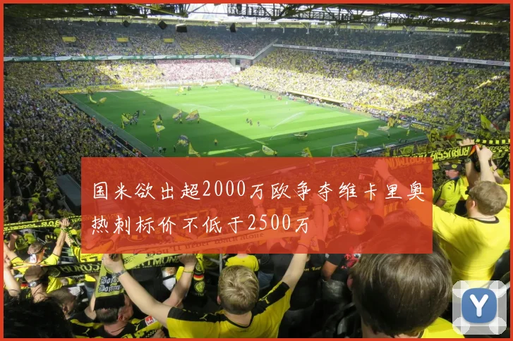国米欲出超2000万欧争夺维卡里奥热刺标价不低于2500万