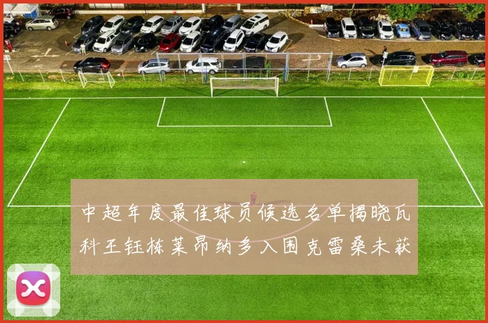 中超年度最佳球员候选名单揭晓瓦科王钰栋莱昂纳多入围克雷桑未获提名