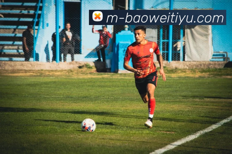 宝威体育平台生态图