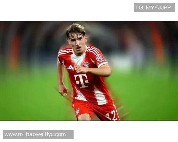 德天空揭秘拜仁小将卡尔的成长故事与偶像厄德高的影响